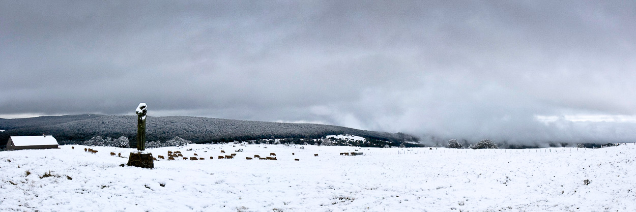 Neige sur l'Aubrac